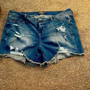 Torrid, Distressed Jean Shorts